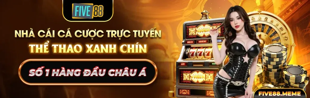Tổng quan lợi ích MCW77 WIN